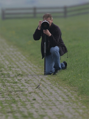 Een mannetje Tapuit langs de waddendijk was een dankbaar onderwerp. Hier gaat de vogel op de foto bij Jan.