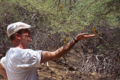 op vakantie op bonaire kwamen we bij een drinkplaats aan,we weten niet of de vogels daar gevoerd werden,maar ze vonden ons interessant!