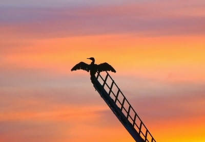 ik kom regelmatig in dit gebied,veel weidevogels zitten er ook,ik ben er vaak bij zon opkomst,vanmorgen waren de kleuren prachtig!