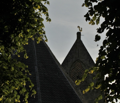 Vaak ga ik s,avonds op de bonnefooi naar een dorp in de buurt om daar wat rond te lopen en om te fotograferen.Dit maal was Jorwert aan de beurt; een erg mooi landelijk dorp. Om de kerktoren vlogen de plaatselijke gierzwaluwen die onder haar leipannen broeden....