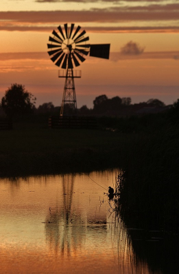 Ben gek op Amerikaanse windmolens ! Gelukkig staat er in mijn woonplaats ook een exemplaar ; 'Heechhiem' uit 1936.
Zomeravond,s fiets ik er wel eens naar toe voor een sfeerfoto met zonsondergang,ditmaal met een rustende meerkoet...