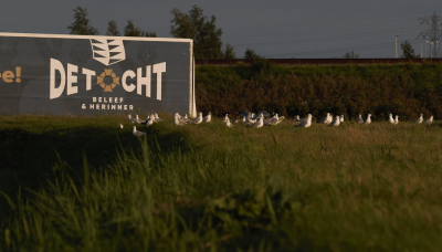 Ja ,ja ..Leeuwarden krijgt haar eigen musical!
Men is druk bezig met de voorbereidingen voor musical "de Tocht"
Ik was getuige van de casting voor de figuranten...