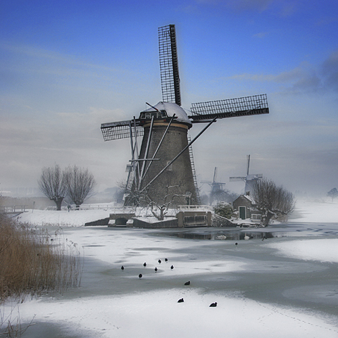 Vogel-ansichtkaart winterlandschap  