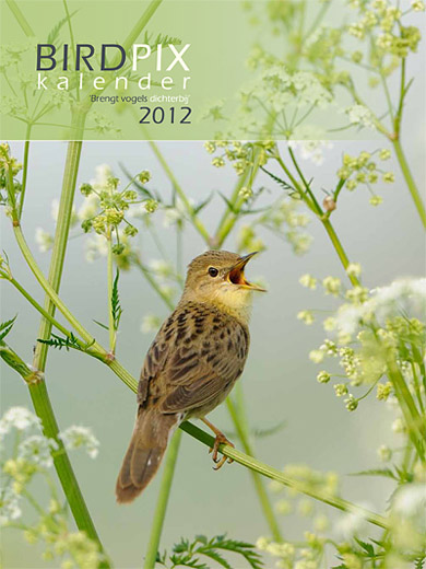 Kalender 2012
