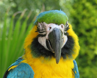 Mooi model in de duitse Eifelzoo
