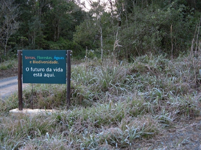 Bij deze het bewijs van de nachtvorst in Brazilie .....