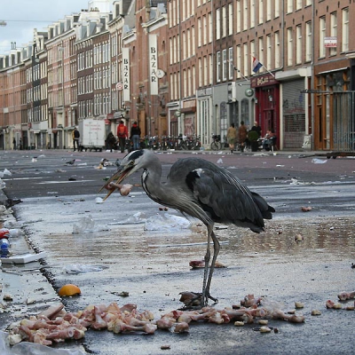 Een van de "Amsterdamse schoffies" in actie op de Albert Cuyp markt, op een tijdstip dat de marktkramen al zijn weggehaald maar de schoonmakers nog niet hebben schoongemaakt.