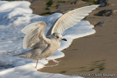 Canon 40D + Canon 400mm f5.6