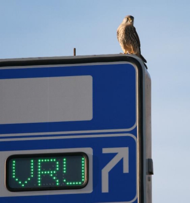 Dit lijkt me een inkoppertje. Zo vrij als......... . Juist. Saillant detail: de foto is pal naast de gevangenis genomen...