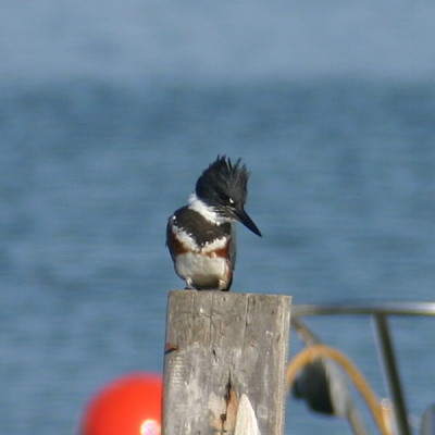 een van mn eerste foto's met de EOS 300D