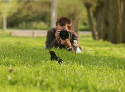 Hendrik-jan in actie bij een merel