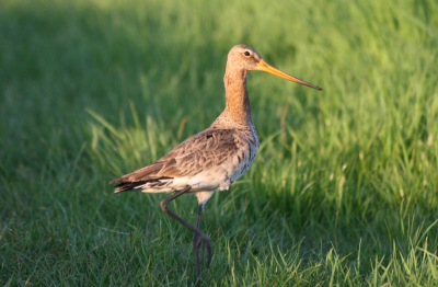 De mooiste van vandaag