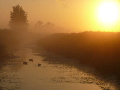 Morning has broken...
Soms is mr omgeving en minder koet, mooier dan meer koet..