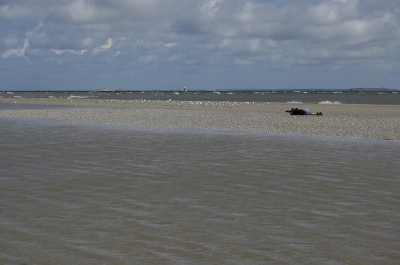 Making of van de foto van de Visdief op het strand bij Vlieland.