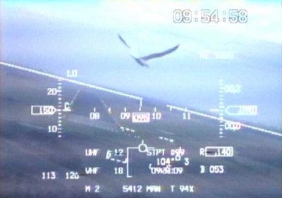 Plaatje van de Head Up Display vanuit een F-16 cockpit. De piloot had geen tijd meer voor een ontwijkmanoeuvre (was al te dicht bij de baan). Gelukkig versnelde de zilvermeeuw zijn vleugelslag en konden zowel de vogel als de piloot hun vlucht veilig doorzetten.
Wie van jullie heeft foto's van vogels in combinatie met vliegtuigen? Alvast bedankt, groet, Albert.