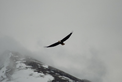 De laaghangende bewolking en de sneeuw die nog op de berg helling ligt geven een goed beeld van hoe het is in het noorden van Canada.