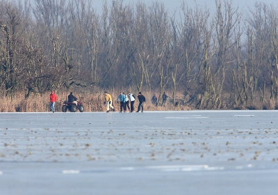 Recreatie over de GEHELE Oostvaardersplassen!
Met motoren?
Denk dat SBB druk was met koek en zoopie.