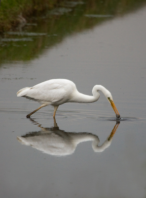 bewerking na opmerkingen eerste foto in tijdelijke.