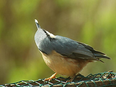 in drenthe foto genomen kwam regelmatig op deze plek