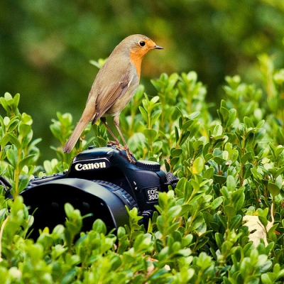 Buiten aan het werk (camera standby) wist ik dat dit ging gebeuren! Leuk toch?