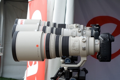 Een foto die ik gewoon voor de gein heb gemaakt, maar uiteraard ook leuk om te tonen is. Een aantal "big guns" van Canon in linie, van voren naar achteren:
1. EF 400 mm f2.8 L IS USM (5,3 kg - 34,9 cm)
2. EF 500 mm f4 L IS USM (3,8 kg - 38,7 cm)
3. EF 600 mm f4 L IS USM (5,3 kg - 45,6 cm) 

Gewicht exclusief body en/of converters, lengte exclusief de hier getoonde zonnenkappen. 
De 3 resterende "big guns" zijn de EF 300 mm f2.8 L IS USM, EF 400 mm f4 DO IS USM en de EF 800 mm f5.6 L IS USM. Nu alleen nog een mooie f4 zoom erbij...