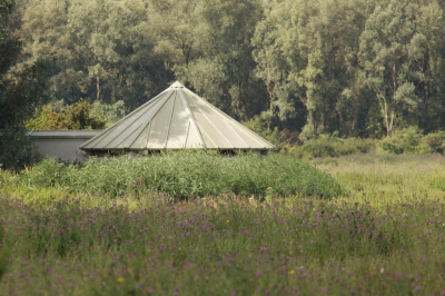 Zo zien de hutten er momenteel uit in de OVP. Riet tot boven de luiken. Echt nodig om te maaien.