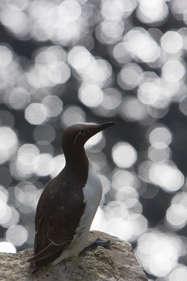 Overdag was het licht vaak te hard om mooie foto's te maken en ben ik wat aan het experimenteren gegaan. Vanaf de klif naar beneden kijkend scheen de zon op de zee en dat gaf wel een leuk effect vond ik zelf. Ben benieuwd naar jullie mening