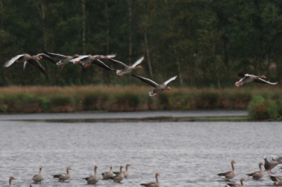 Mijn eerste foto die ik hier plaats hoop dat het nu lukt.