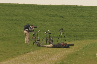 mijn impressie van het birdpixweekend op Terschelling