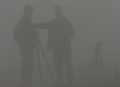 han en corn in de mist op Terschelling om 6.59 uur zondagochtend.

meer foto's voor mijn impressie van het birdpixweekend in mijn PA:
http://www.birdpix.nl/album_personal.php?user_id=383