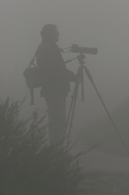 jean in de mist op Terschelling om 7.01 uur op zondag