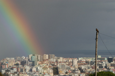 Um buteo contemplativo perante a magnifica luz de Lisboa. Mesmo num dia de chuva...