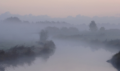 foto van hendrik zonder eenden omdat dit veld in je p a ook verplicht is.  bla bla bla bla bla