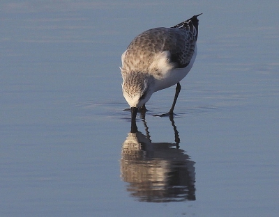weekendje Texel, slecht weer, harde wind maar strand blijft altijd leuk. Op een rustig moment enkele Drietenen kunnen volgen, deze vind ik zelf leuk omdat ie mooi doorloopt in zijn eigen spiegelbeeld.