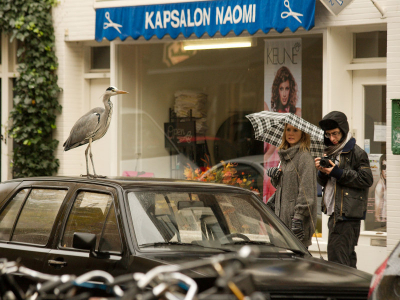 Eigenlijk is dit een stadsreiger. Ik had hem al eerder gezien in deze buurt. Deze keer had ik toevallig mijn camera bij de hand want we gingen naar Avifauna.