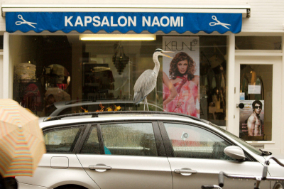 Na de discussie of die twee toeristen wel op de foto mochtte mijn tweede keus. Vond de twee schaartjes van de kapsalon wel overeenkomen met de 'schaar' van deze stadsreiger; uw nieuwe kapper.