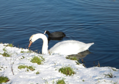 Ik ging foto's maken in sneeuw en kwam dit tegen(graag commentaar ben nog maar beginneling dus alles is welkom)