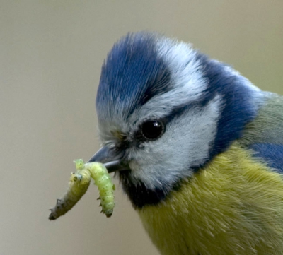 Het blijven leuke dieren!