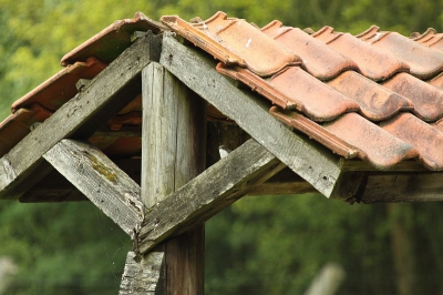 Deze Bonte Vliegenvanger kreeg ik op een bijzondere plek voor de lens. Had zich een perfecte nestplaats uitgezocht, onder het dakje van de voederplaats in de wei van een Damhert.