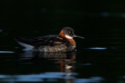 Nog eentje uit Flatey, maar hier met name donkere tonen in het water. Nog iets meer low-key