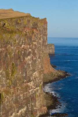 8 juni was een prachtige dag op de Latrabjarg, een van de mooiste vogelrotsen van IJsland; de volgende dag  vroeg vertrokken door het slechte weer; daardoor het ongeluk later op de dag gemist, toen een duitser bij het fotograferen 100m naar beneden stortte; hij zal op slag dood zijn geweest. Vogelrotsen, zeker met papegaaiduikers, blijft link!