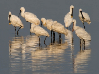 Het eerste ochtendlicht was prachtig en het was behoorlijk druk zowel op het water als in de hut