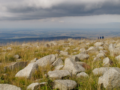 Uitzicht vanaf de Brocken naar het noorden/westen waar het opvallend vlak is.