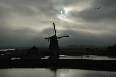 <i class='fa fa-user'></i> Erwin van Laar | Aalscholver  <i class='fa fa-eye'> 3082</i>  <i class='fa fa-thumbs-up'> 10</i>   <i class='fa fa-comment-o'> 52</i>