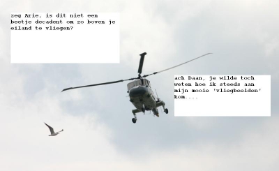 <i class='fa fa-user'></i> Sytze | Kleine Mantelmeeuw  <i class='fa fa-eye'> 698</i>   <i class='fa fa-comment-o'> 7</i>