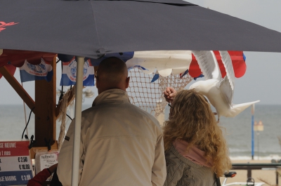 "Blijf maar onder de luifel, dan doen de vogels je niets" zei de verkoper steeds. Dat bepalen we zelf wel, dacht de meeuw. Voor de foto minder ideaal, maar zo kom je als handige meeuw de zomer door.