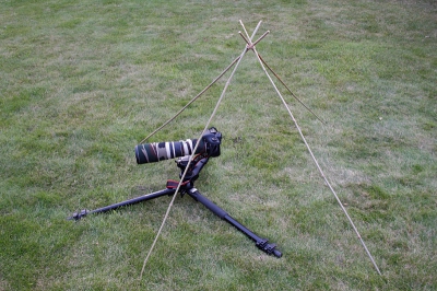 Hierbij een aantal foto's van mijn opstelling van het HBN Camouflagedoek; ik gebruik dit frame van 4 bamboestokken van ca. 1,5 meter lang. Die zijn o.a. verkrijgbaar bij tuincentra voor een paar euries. Bovenaan bevestig ik een elastiek (strak!) en zet het geheel naar wens in elkaar. Het camouflagedoek drapeer ik eroverheen, let goed op dat het kijkvenster op de juiste plek hangt. Ik lig er dan onder, waarbij m'n benen een beetje uitsteken, maar dat is verder geen ramp als je niet beweegt. Op de foto m'n 7D en EF 400 mm f5.6 L USM op Manfrotto 055 PRO-B statief.