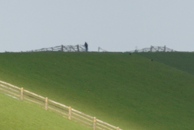 Voorbeeld van atmosferische blurr bij een Nikon 70-200mm lens. De reden waarom je betere resultaten krijgt als je kans ziet om dicht bij de vogels te komen. Ook kortere lenzen zijn in het voordeel t.o.v. lange lenzen. Hoe meer afstand, hoe meer lucht er tussen zit.

Daarom heb ik gekozen om mijn in 2009 gestolen 600mm te vervangen voor een 300mm.

.