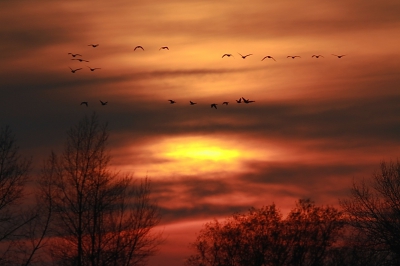 Vlak voor zonsondergang eind van de middag. Het kleurenpalet boven de IJssel was van een bijzondere schoonheid.