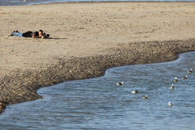 Hier maakte ik volgende foto:
http://www.birdpix.nl/album_page.php?pic_id=290450